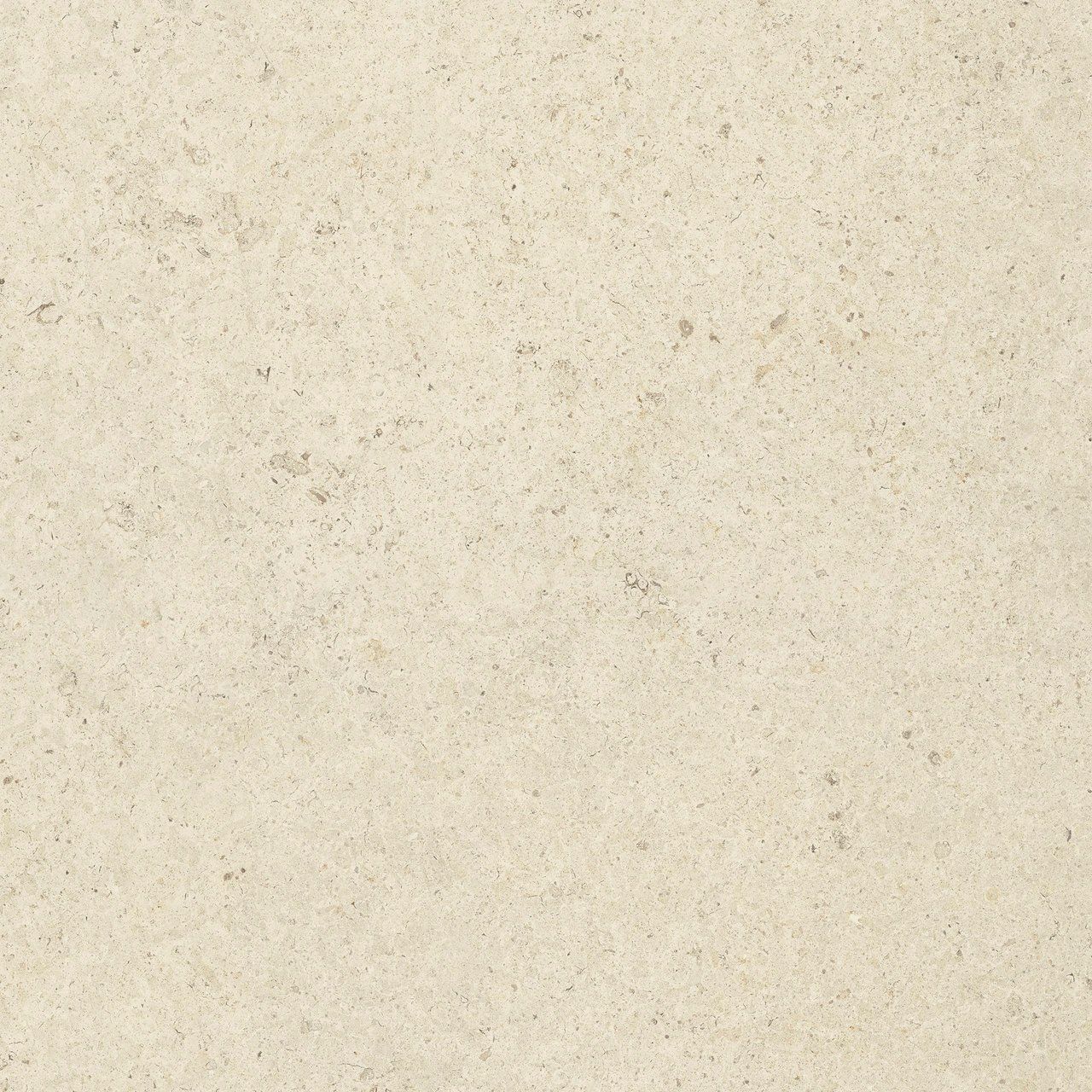 Пол / облицовка керамогранита с эффектом камня Fiandre Pietre Maximum ARCH-00014350 - Вид №13