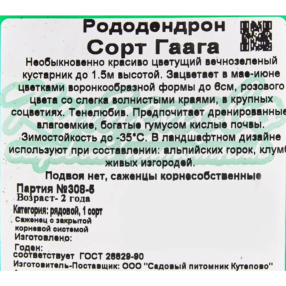 Рододендрон С2 «Гаага» H30 81954831 STLM-2060546 Santreyd  - Вид №2