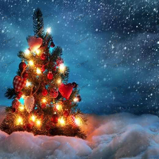 WP02425 Фотообои Verol Фотообои decoline 1х1 м