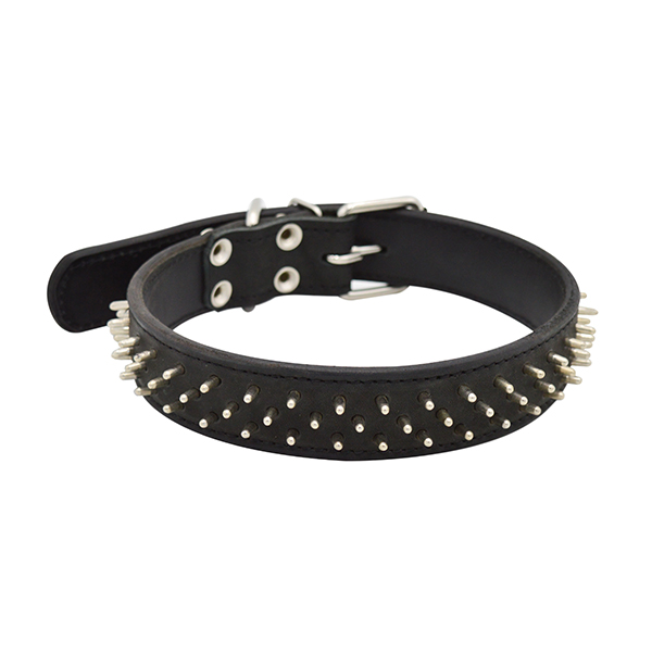 ПР0048216 Ошейник для собак Ёж 2сл 36мм 60см черный ZOOEXPRESS 