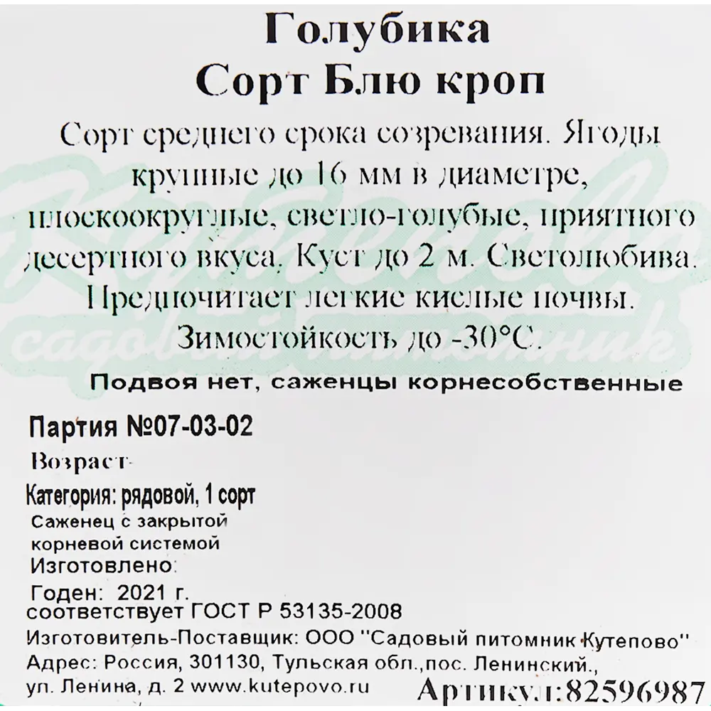 Голубика «Блю Кроп» C2 высота 30 см 82596987 STLM-2168222 Santreyd  - Вид №1
