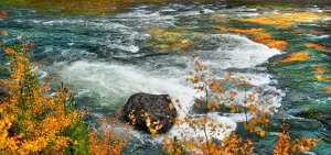 Фотокартина 60х28 см "Охра" PANKOVSKY STUDIO ПЛАСТИФИКАЦИЯ 015880 Белый;желтый;зеленый