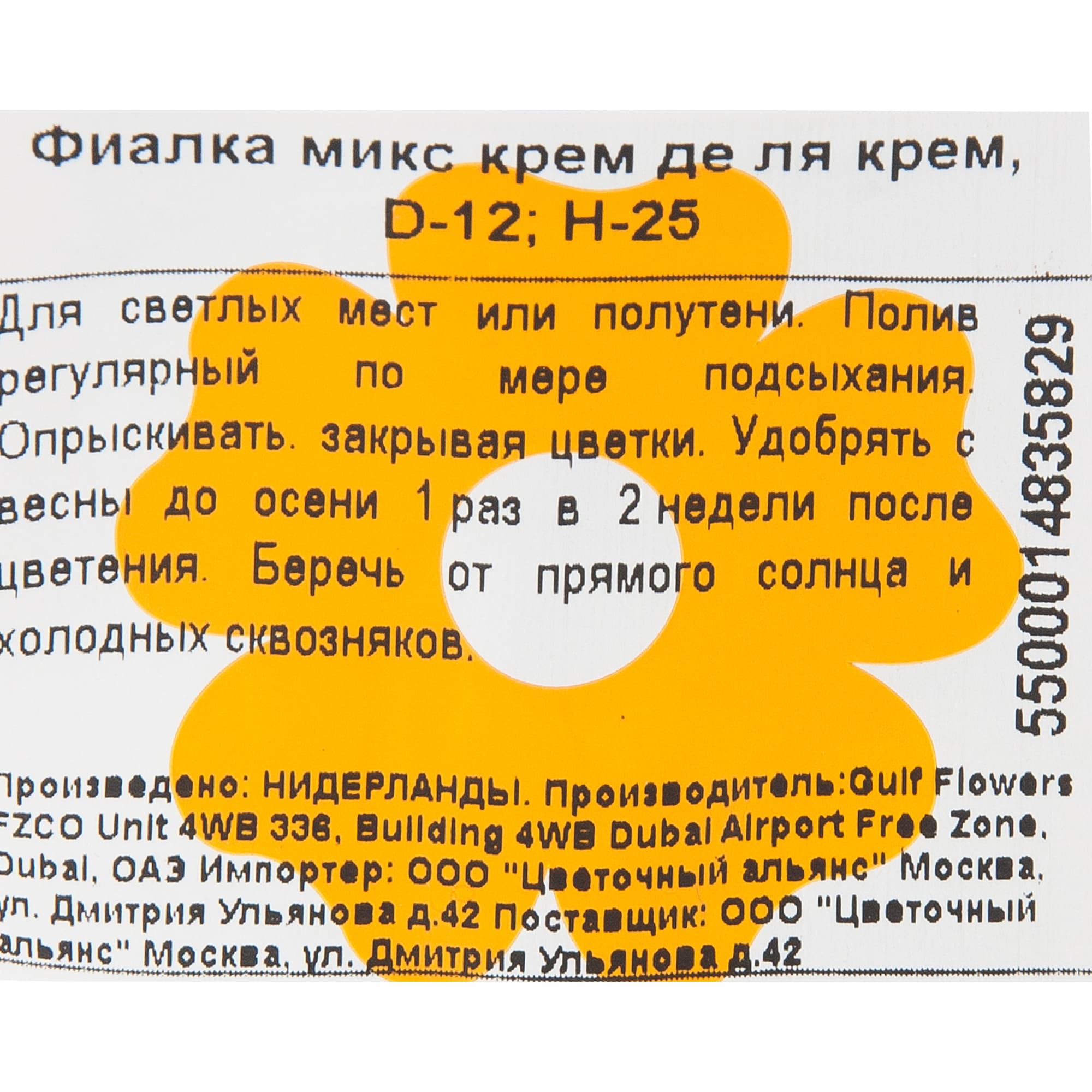 84450716 Фиалка Крем де ля крем микс ø12 h25 см Santreyd  - Вид №2