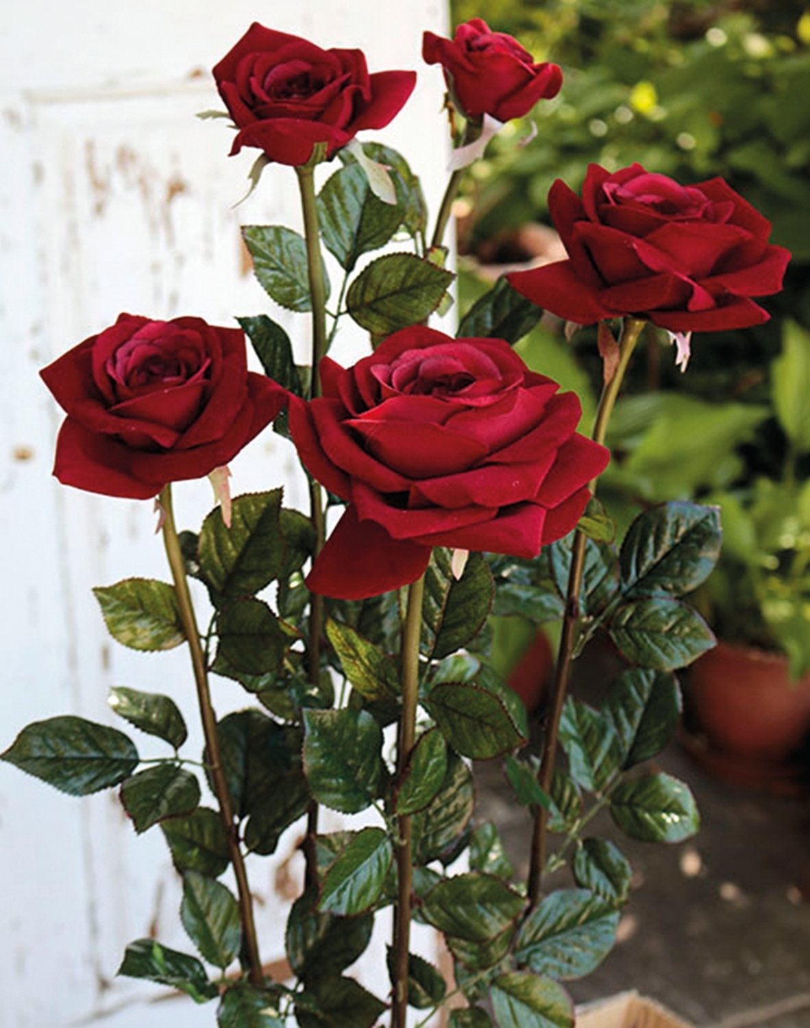 2619 444 a3 Набор искусственных роз, 5 шт, 68 см, красные H-andreas  - Вид №5
