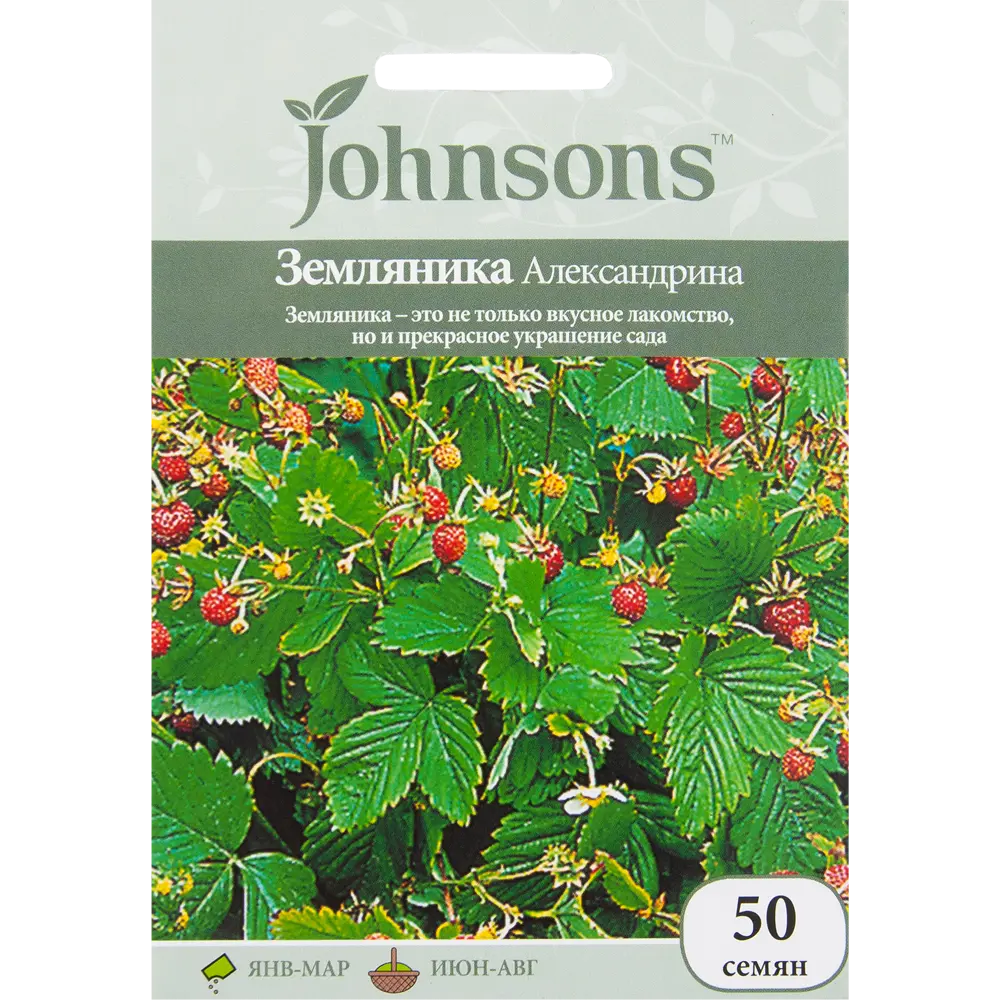 Семена Земляника «Александрина» 50 шт. 14384519 STLM-2058541 JOHNSONS 