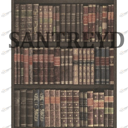 525809 Обои Rasch Crispy Paper