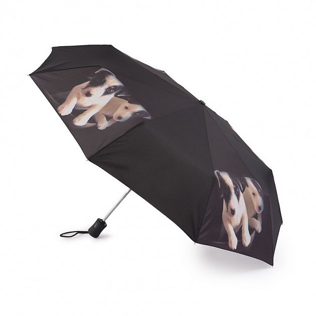 R346-3361 Зонт женский автомат R346 Open/Close 4 Fulton 