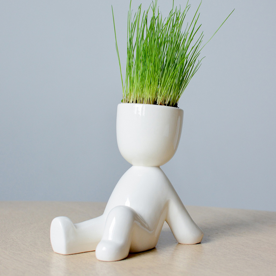 Набор для выращивания Eco Пляжник ЭКОЧЕЛОВЕКИ ЕСO115 - Вид №1