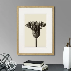 Картина: Botanical philosophy of forms №5, 1912г. КАРТИНЫ В КВАРТИРУ  264879 Разноцветный