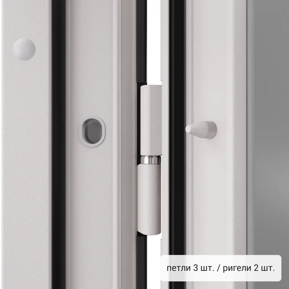 Дверь входная металлическая Фолд тэя 880 мм правая TOREX STLM-2021993 - Вид №6