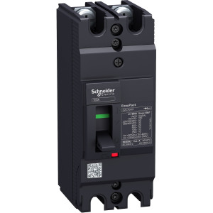 EZC100H2025 Силовой автомат EZC 100, TM-D, 30кА, 2P, 25А Schneider Electric EasyPact