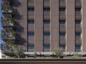 Композитные деревянные Frangisole