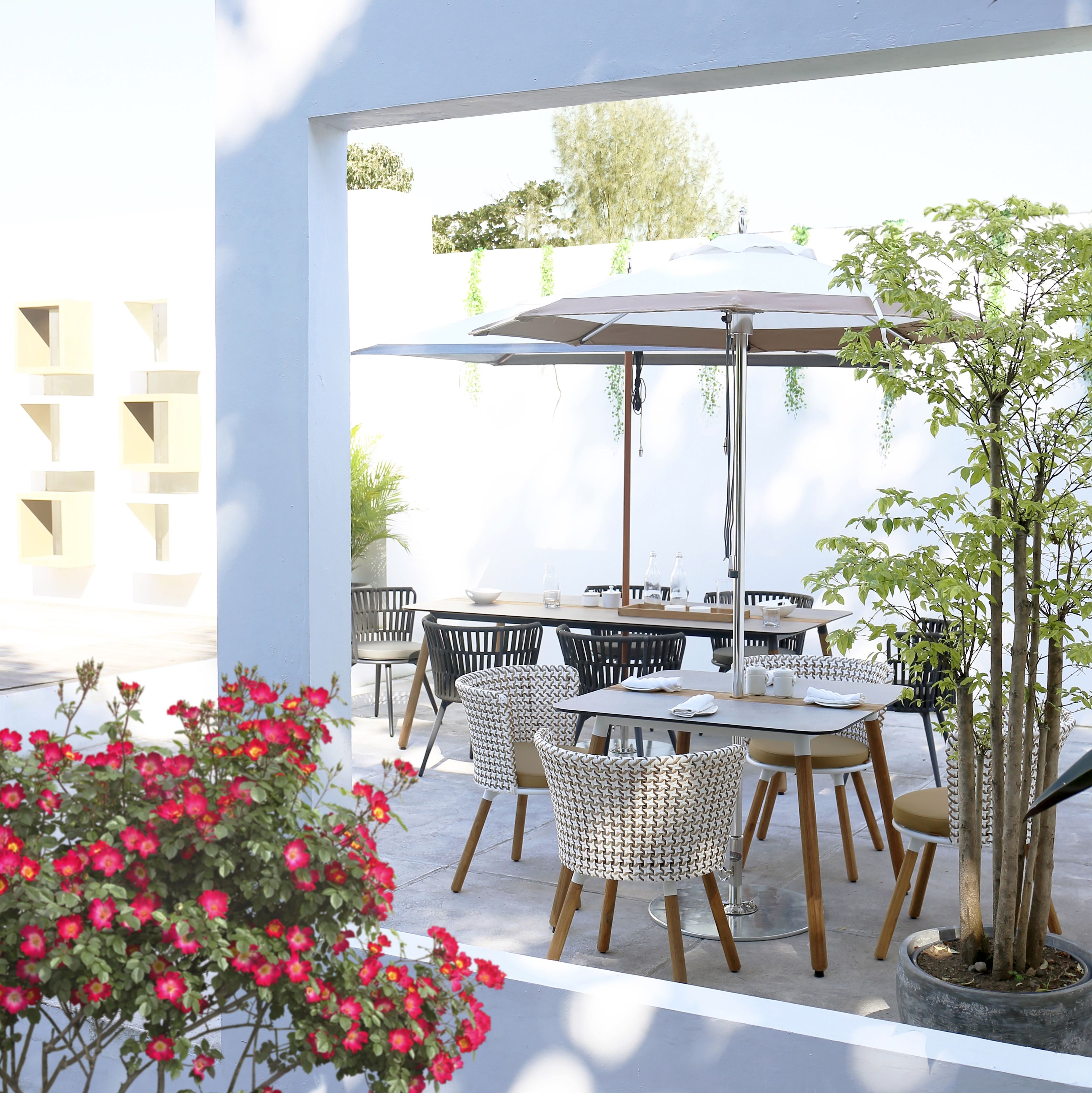 Квадратный садовый стол в HPL MAMAGREEN Daisy ARCH-00044734 - Вид №3