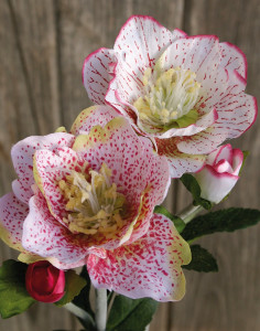 2576 705 a2 Шелковая рождественская роза, двойная, наполненная, 32см, бело-розовая H-andreas