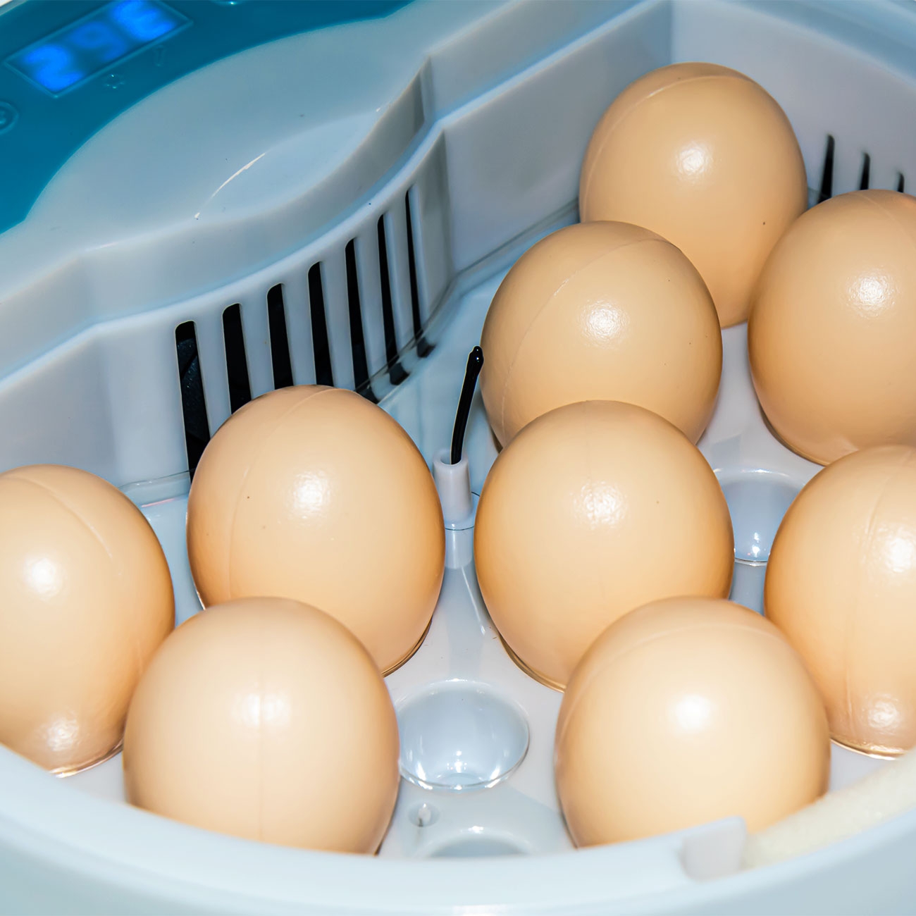 2013 Инкубатор для яиц автоматический И_9_1 LAB.Space  - Вид №5