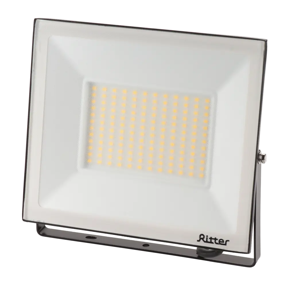 RITTER Profi - Мощный уличный светодиодный прожектор 100 Вт 83986908 STLM-0045892 - Вид №1