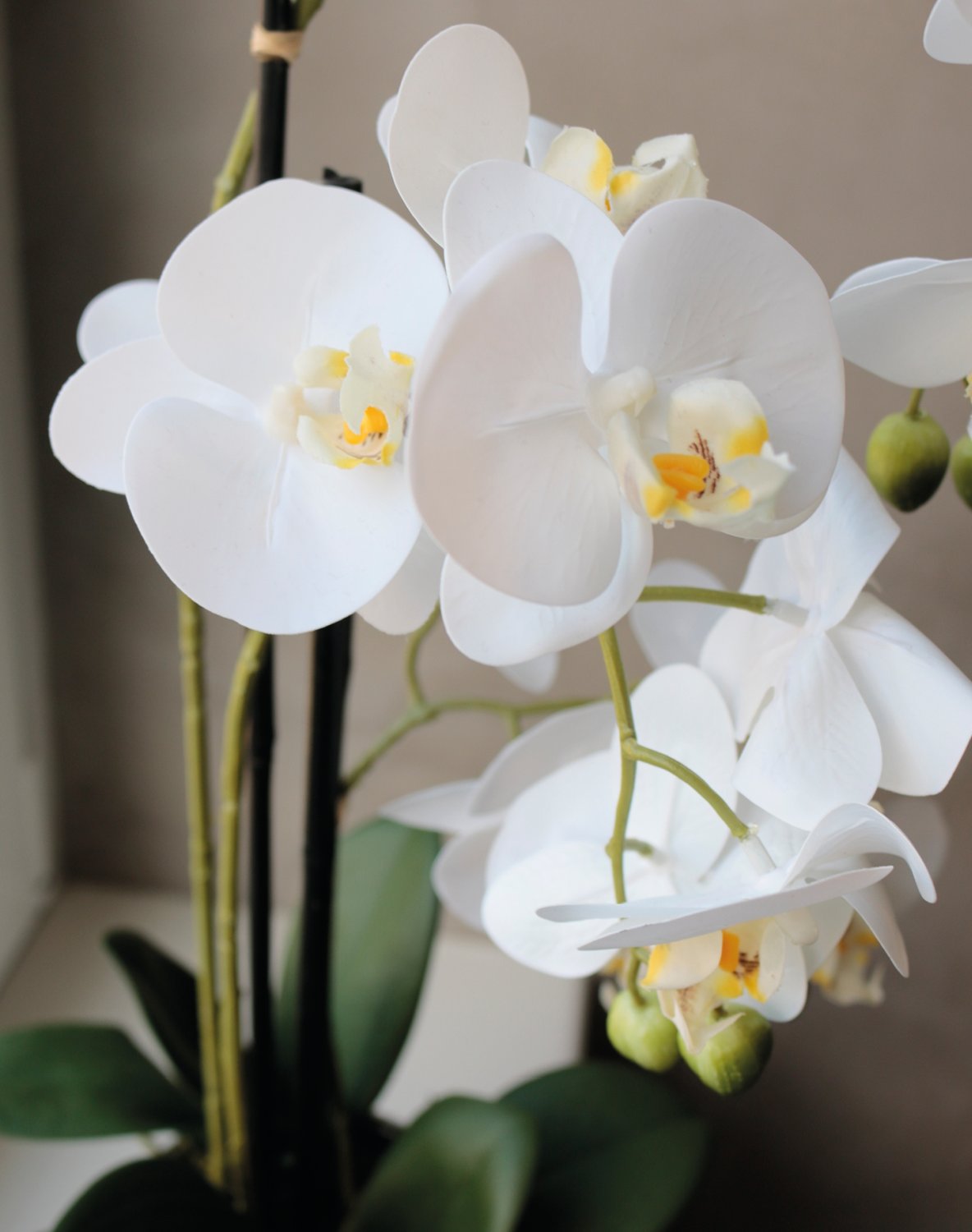2778 778 a3 Пластиковая орхидея Phalaenopsis, 3-х кратная, горшечная, 55 см, real touch, бежево-белая H-andreas 