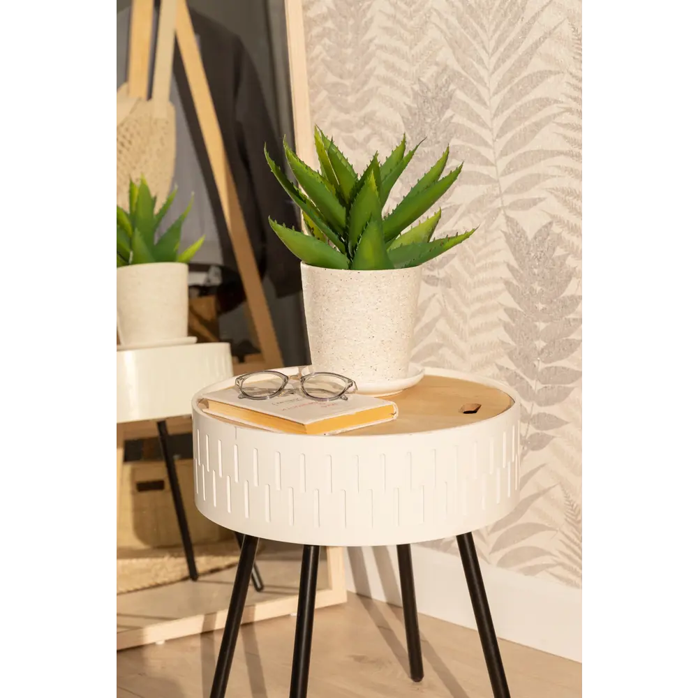 Santreyd Алоэ — комнатное растение с целебными свойствами 82579802 STLM-0030530 - Вид №5