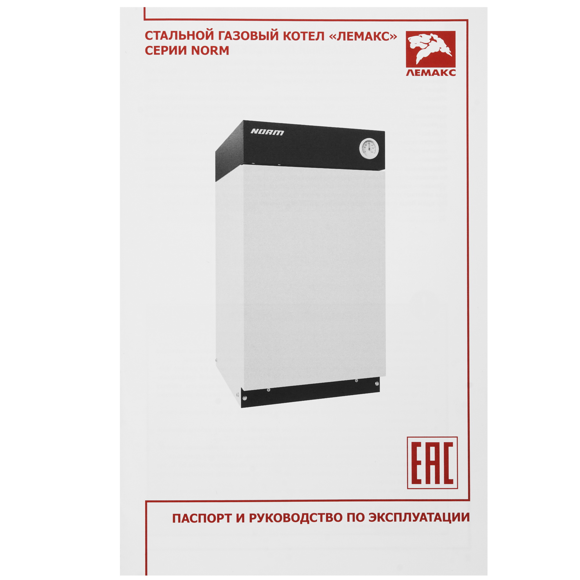 9904919 Газовый котел ЛЕМАКС NORM 10 напольный STDN-0140518 - Вид №6