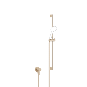 Однорычажный смеситель скрытого монтажа со встроенным душем с душевым набором без ручного душа - Brushed Champagne (22-каратное золото) 36013660-46