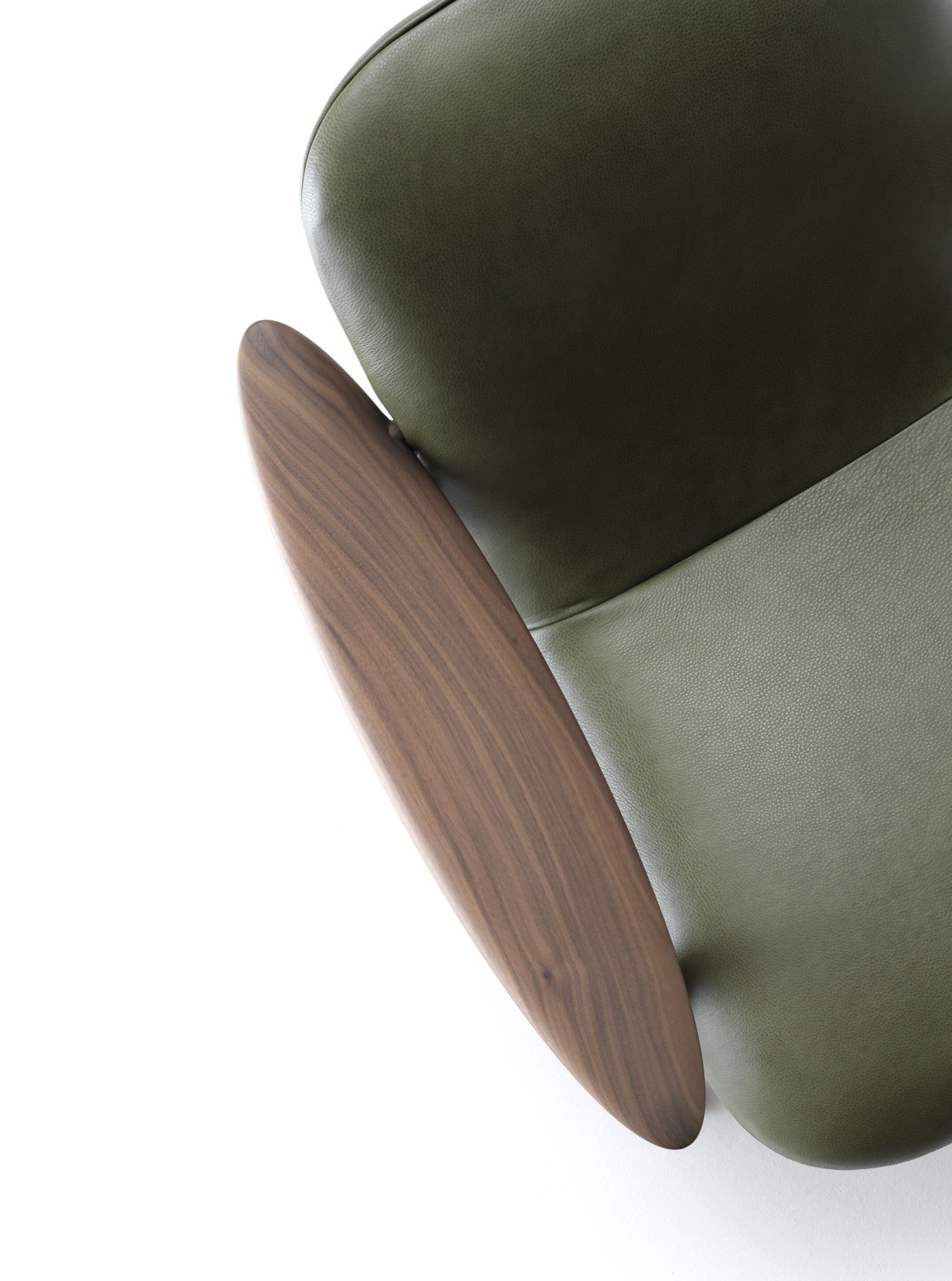 Кожаное кресло CEPPI Evergreen ARCH-00074521 - Вид №1