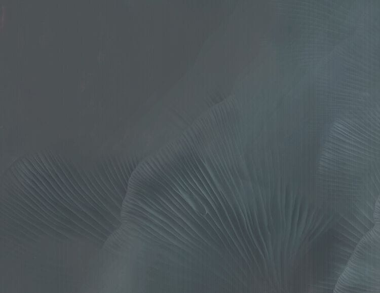 Нетканые обои Tecnografica Natural Shapes ARCH-00044355 - Вид №6