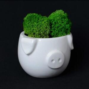 Набор для выращивания Eco мини-кашпо «Минипиг»