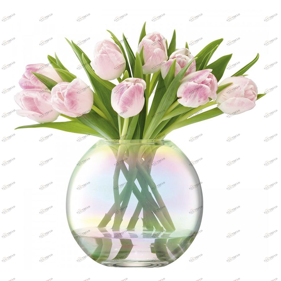 Ваза круглая Pearl 16 см LSA International G116116916