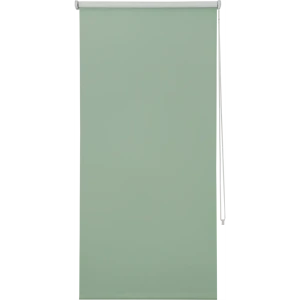 Штора рулонная Inspire блэкаут, 50x160 см, цвет зелёный 82407256 STLM-2176490