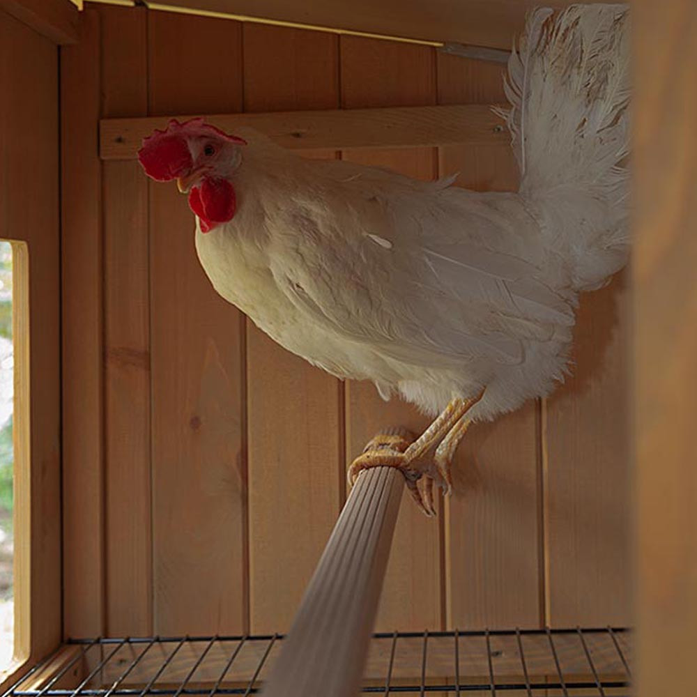 ПР0022468 Домик-гнездо для птиц HEN HOUSE 10 для кур 124x98x110см FERPLAST  - Вид №3