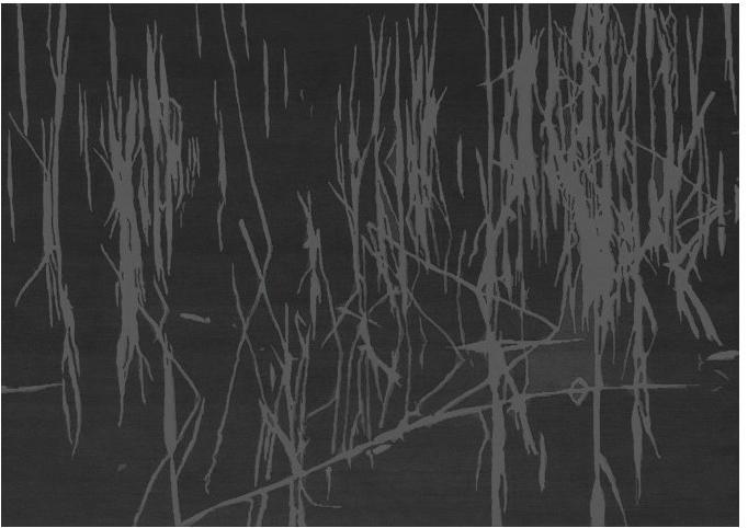 BRABBU Прямоугольный коврик на заказ sun-id-1346186 - Вид №1