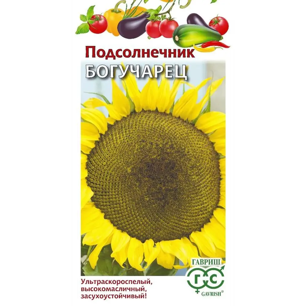 Семена овощей Гавриш подсолнечник Богучарец 89447477 STLM-2046955 
