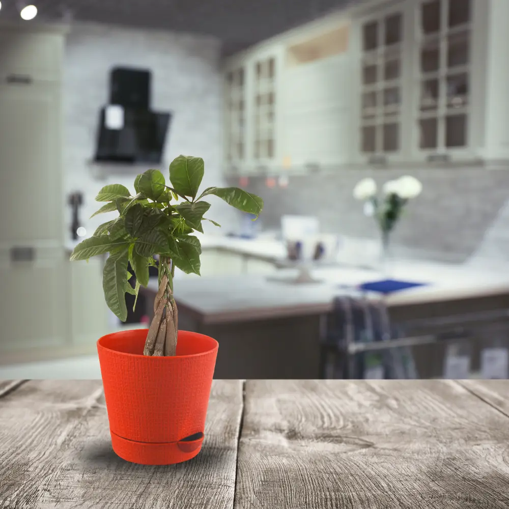 Горшок ТЕК.А.ТЕК Партер с системой автополива для комнатных растений 18006030 STLM-0009187 - Вид №2