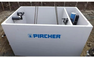 Pircher Первое дождевое растение