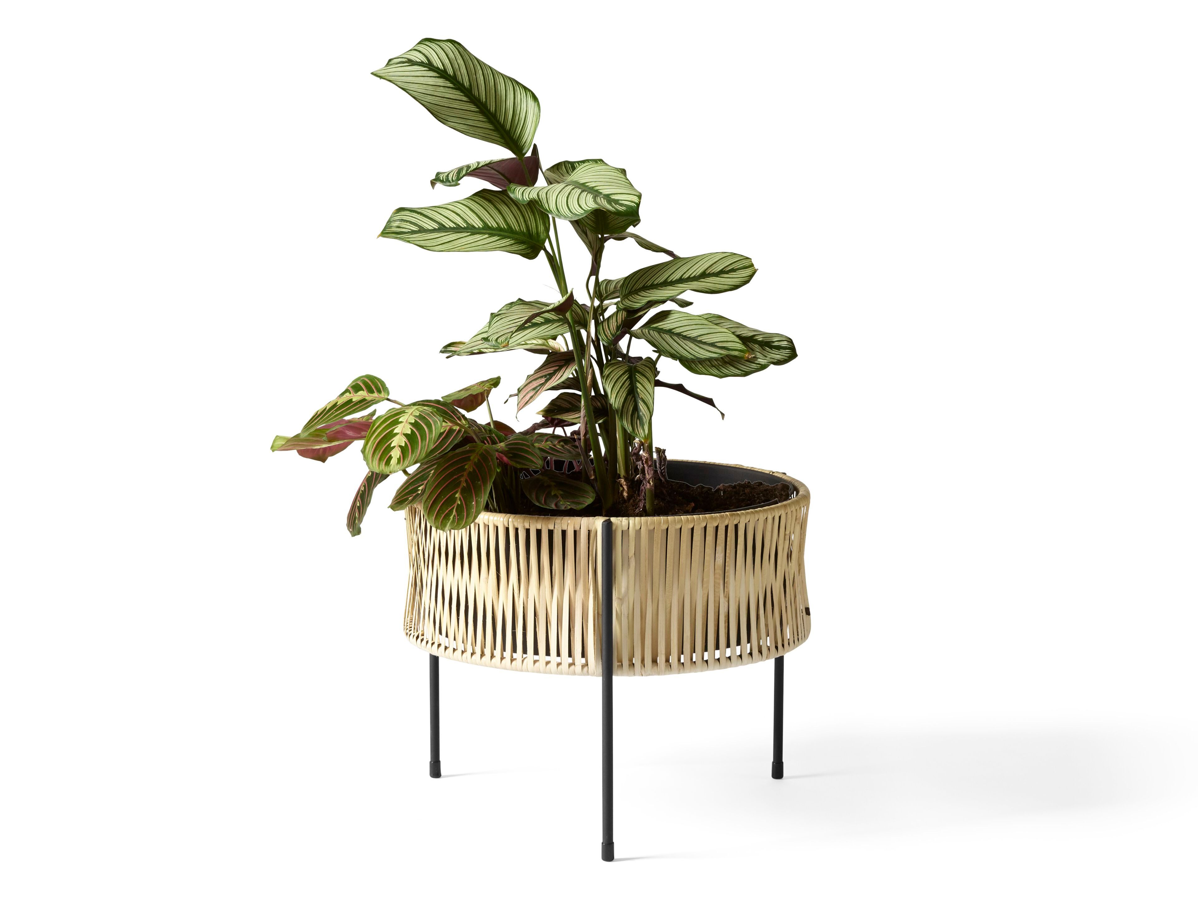 Стальная и ротанговая круглая подставка для горшков Audo Copenhagen Umanoff ARCH-00048975 - Вид №4