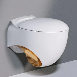 SS531T0R0V6.D250 Подвесной унитаз настенный Белый A. e T. Italia ACCENT Италия