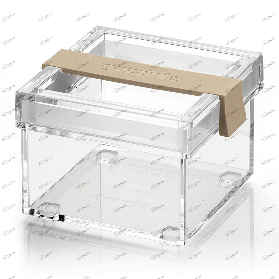 Контейнер с крышкой Click&Fresh S бежевый Guzzini 169200190