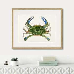 Картина: Marine life №1, 1725г. КАРТИНЫ В КВАРТИРУ  264303 Разноцветный