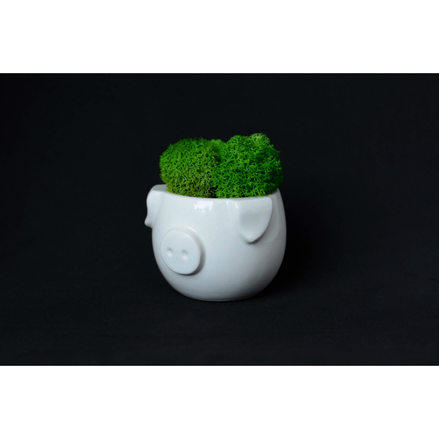 Набор для выращивания Eco мини-кашпо «Минипиг» ЭКОЧЕЛОВЕКИ MIN103 - Вид №1