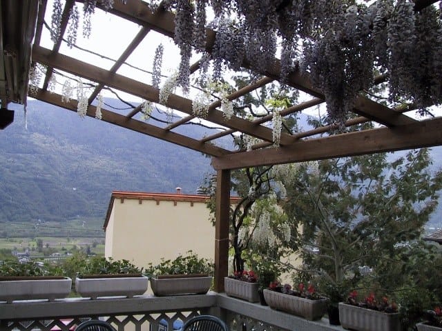 Деревянный навес / пергола INDUSTRIA LEGNAMI TIRANO ILT MONTANA Wood ARCH-00031633 - Вид №4