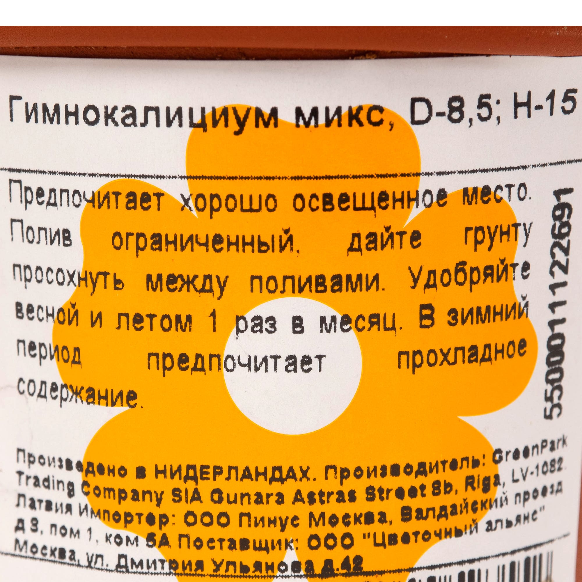 13533922 Гимнокалициум микс 85х15 см Santreyd  - Вид №1