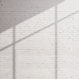 WP08023A Обои декоративные Adriani e Rossi