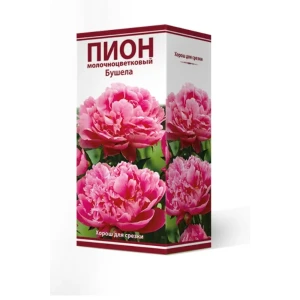 Пион травянистый Бушела луковица 2-3 83600098 STLM-2177524
