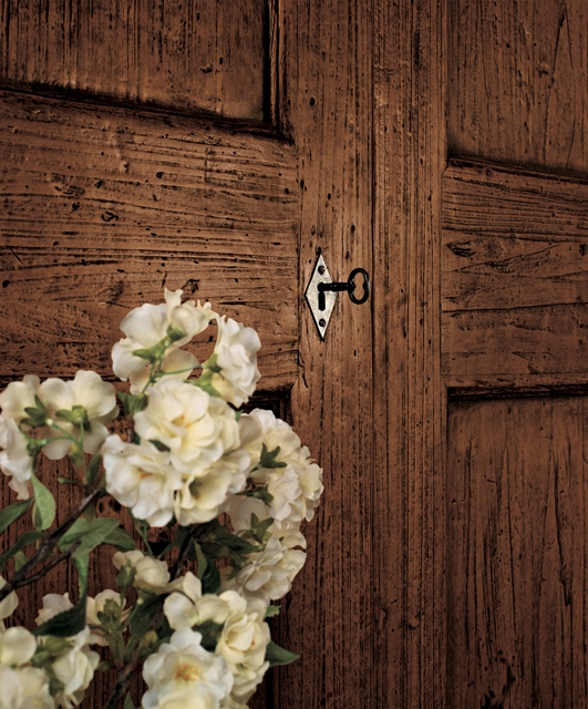 T1 Tifernoit Дверь из массива дерева Porte  - Вид №2