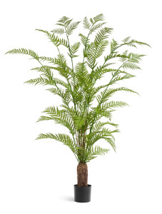 10.56805N Папоротник Форест древовидный Цветочная коллекция