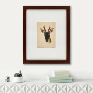 Литография на тонированной бумаге 42х52 см The deer head, 1816 КАРТИНЫ В КВАРТИРУ  135661 Бежевый;белый;коричневый;разноцветный
