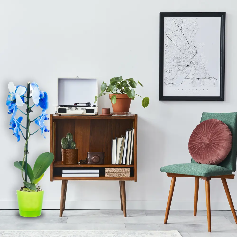 ТЕК.А.ТЕК Горшок для орхидей с аэрацией и контролем корней 18006195 Орхидея партер STLM-0009193 - Вид №1