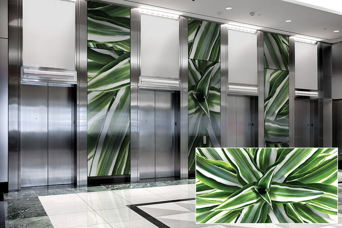 FSRT375 Зум-стекло Vivispectra с прослойкой из содалита  Forms-surfaces  - Вид №16