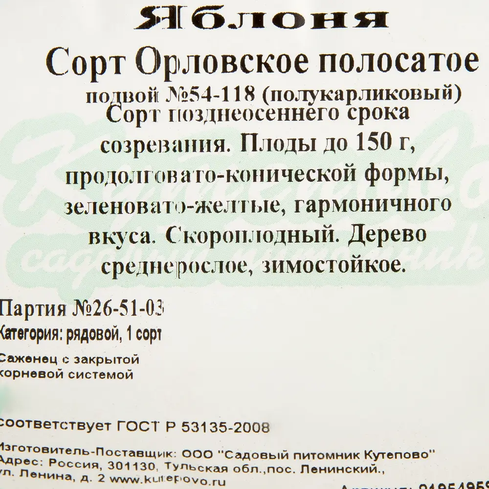 Яблоня С7 «Орловское полосатое» h120-180 81954959 STLM-2152099 Santreyd  - Вид №1