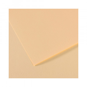 200321337 Бумага для пастели Mi-Teintes 160 г/м2 75 х 110 см лист №111 слоновая кость Canson